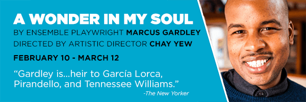 Victory Gardens presents the World Premiere of A Wonder in My Soul by Marcus Gardley 1