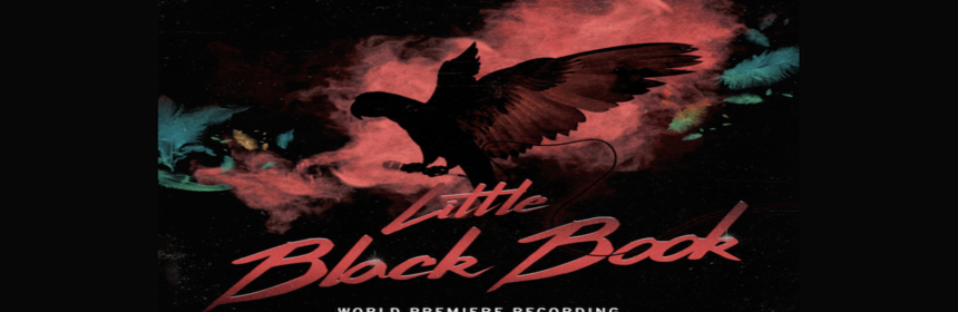 Broadway Records Releases LITTLE BLACK BOOK, A Rock Concept Album Based on Life of Heidi Fleiss 1 LITTLE BLACK BOOK, a new rock musical about the life and times of Heidi Fleiss, announces the release of a concept album on the Grammy-winning Broadway Records this spring.  With music, lyrics and book by Billy Recce, and starring Alice Ripley, Orfeh, Mandy Gonzalez, Jessica Vosk, Brittney Johnson, Diana DeGarmo, Vonzell Solomon, Kuhoo Verma, Samantha Pauly, Natalie Weiss and Lillias White, the album centers on the infamous Hollywood Madam of the 90’s who now resides in the middle of the deserts of Nevada with her forty parrots. 